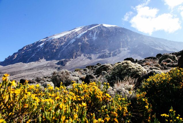10 Days Kilimanjaro Lemosho Route